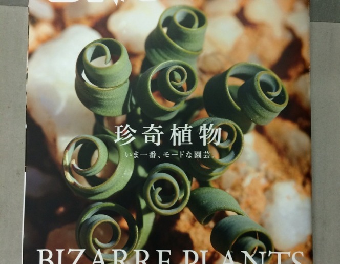 BRUTUS BIZARRE PLANTS HANDBOOK